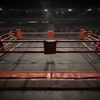 boxing ring png