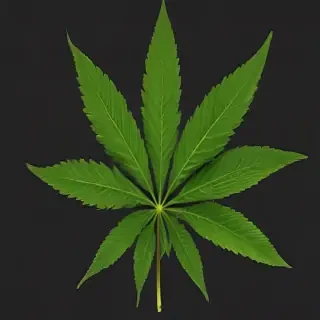 pot leaf png