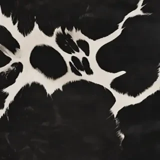 cowprint background