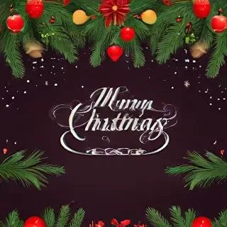 png merry christmas