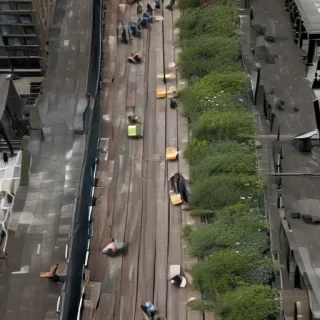 high line photos