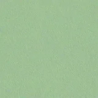 light sage green background