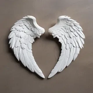 picture of angel wings