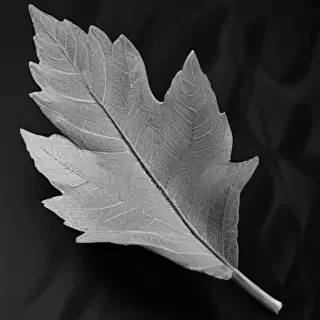 leaf in black and white