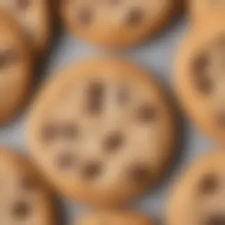 chocolate chip cookie png
