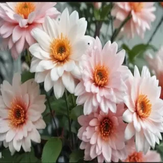 background flower cute wallpapers