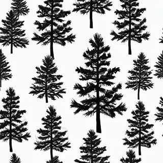black and white pine tree clipart