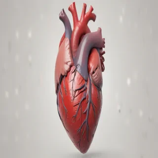 human heart png