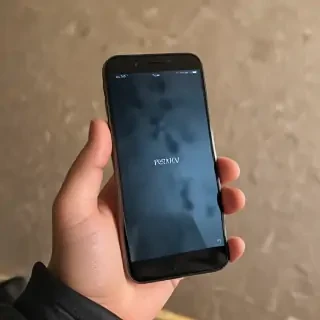 holding phone