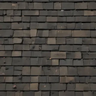 shingles images