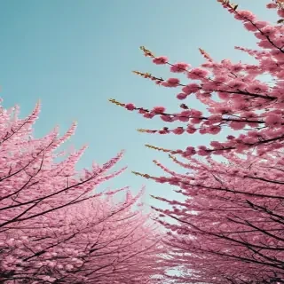 aesthetic spring wallpaper