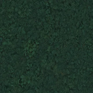 dark green colour wallpaper