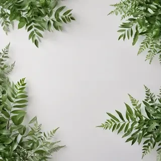 white and greenery background