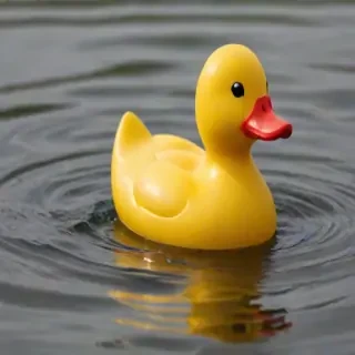 rubber duck png