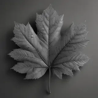 clipart of leaf black and white