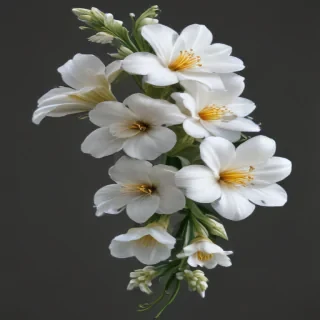 white flowers png transparent