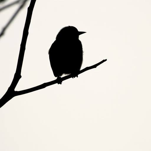A close-up shot of a black silhouette of a bird perched on a branch against a light background, captured with a DSLR camera, aperture f/2.8, ISO 100, 50mm lens, natural light, shallow depth of field.