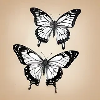 pictures of drawings of butterflies