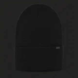beanie png