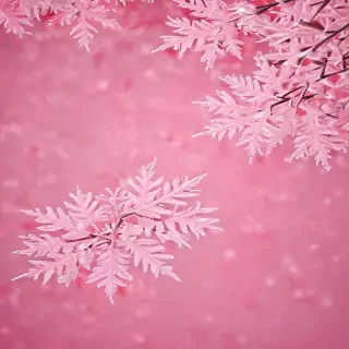 pink winter background