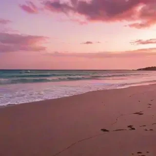 pink beach sunset