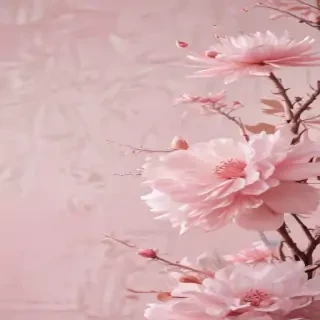 light pink aesthetic wallpaper