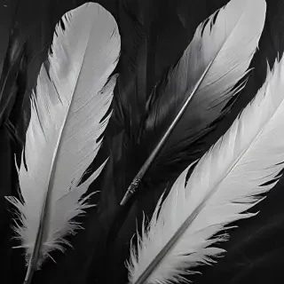 feather background