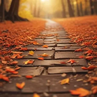fall zoom backgrounds free