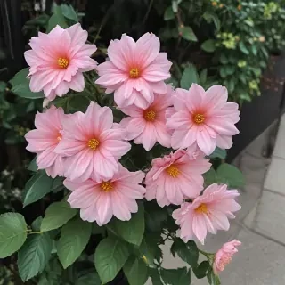 flowers aesthetic