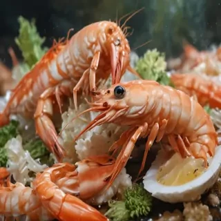 shrimp png