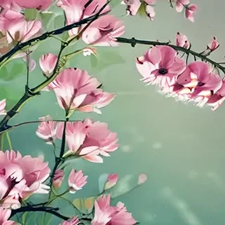 spring wallpaper iphone