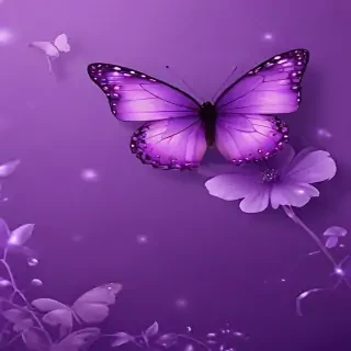 purple wallpapers butterfly