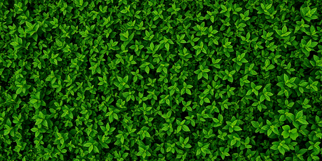 greenery background aesthetic