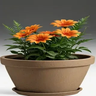 flower pot png