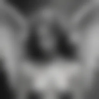 black and white angel drawings