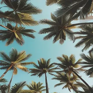 summer backgrounds aesthetic