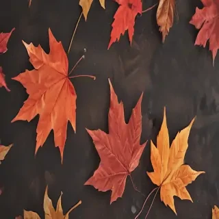 fall iphone wallpaper