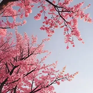 pretty aesthetic wallpapers