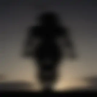 people silhouettes