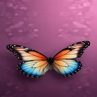 wallpaper iphone butterfly