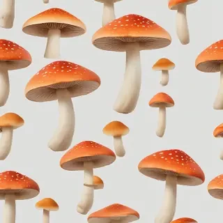 mushroom transparent