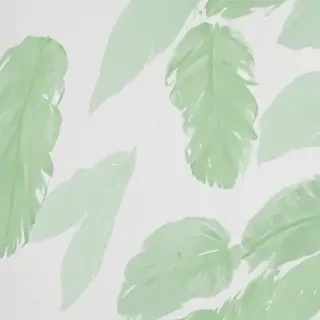 white and green background