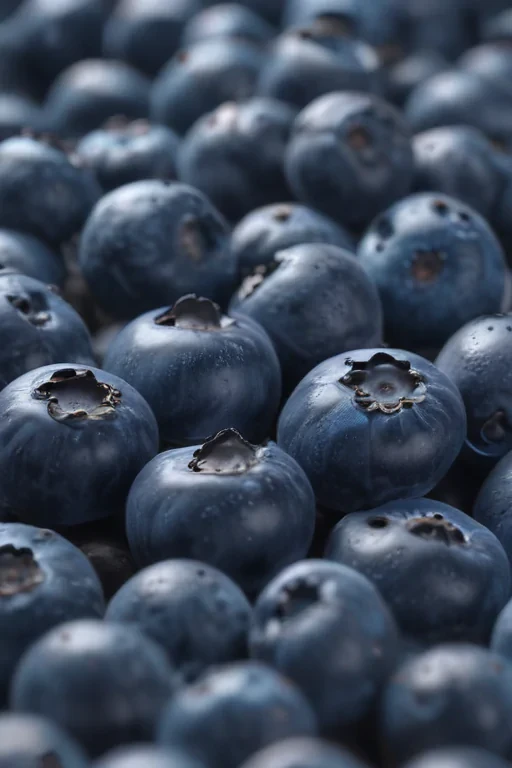 blueberry png