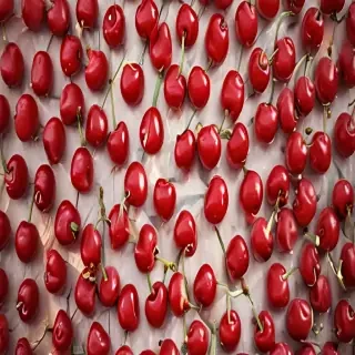 wallpaper cherry