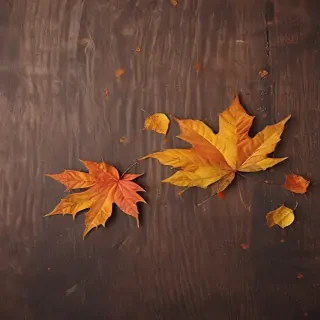 iphone wallpaper fall