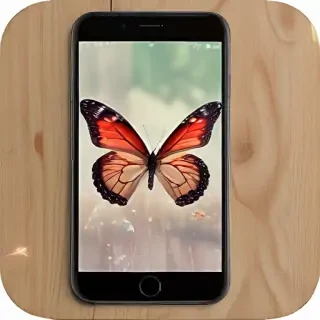 butterfly home screen