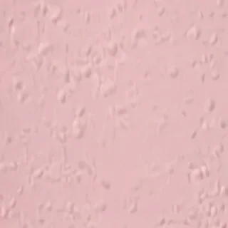 plain light pink