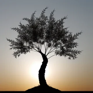 transparent tree silhouette