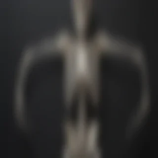 creative skeleton drawings