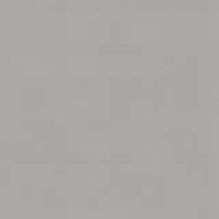plain grey background
